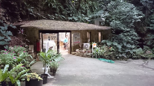 空港に行く途中、時間があるのでサビチ洞に寄ってみた。入場料1,250円。