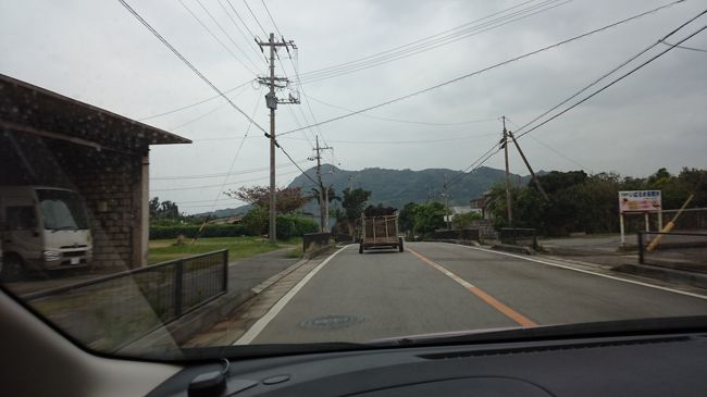 空港に向かう。途中牛を積んだクルマが前に。石垣牛か。