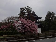 まずやってきたのは東光寺。
お花がきれいに咲いています。
車を停めて、総門から入ります。