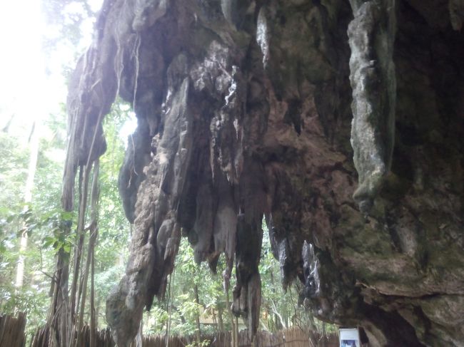 こちらのほうがよくわかりますね。