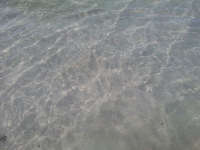 透明度、いいですよね。