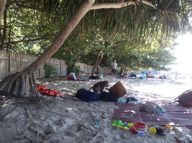 人のカバンの中まで手を付けます。決してかわいくは感じません。猿が出てくるとそろそろ引き上げ時かなという感じです。このころにはツアー客の海水浴人口で、ビーチは混雑。