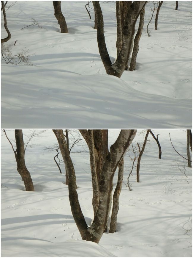 大人の雪遊び Inみなかみ 2018 足慣らしの一ノ倉沢と吹雪の雨呼山 水上温泉 群馬県 の旅行記 ブログ By Fujickeyさん フォートラベル 大人の雪遊び Inみなかみ 2018 足慣らしの一ノ倉沢と吹雪の雨呼山 水上温泉 群馬県 の旅行記 ブログ By Fujickeyさん フォートラベル