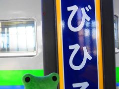 楽しかった帯広ともお別れ。
札幌に向かいます。
汽車がめっちゃ遅れていたけどアナウンスなどはない。
さすが田舎だね、良いよね。