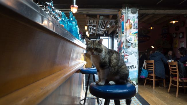 「何飲んどるん？」