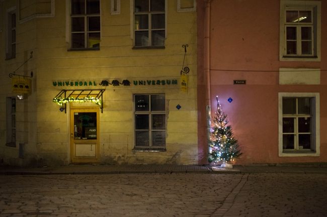 ひとつの年が終わり<br />また、新しい年が始まります。ツリーも押入れに収納です。