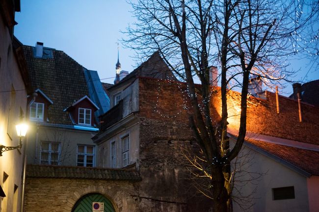 今日は大晦日でした