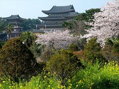 4月初めの済州（チェジュ）島は、菜の花畑と桜が満開だった。

そんな春景色の中にお寺さんが見えて来たのでちょっと寄り道。