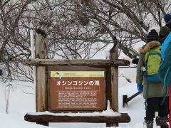 流氷ウォークでかなり疲れたので、
皆さん一旦ホテルに帰り１時間ほど休憩した後、今度はロケーションガイドツアーに参加しました。

オシンコシンの滝に行きました。