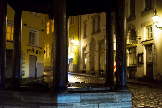 Cat Water well.<br />真っ暗でわかりませんでした