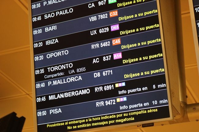 RYR５４８２<br />MAD→OPO（09:20／09:35）<br />Boeing 737-800<br /><br />わずか1H15のフライトです。<br />羽田～伊丹感覚♪<br />運賃はUS$74だったからさほど安くない、ライアンにしては（荷物が重くて高いからな）<br />それでもTAPやIBE使うよりかマシ。