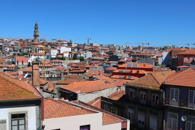 大聖堂のテラスから市街を一望。<br />全てのお家の屋根が赤瓦(赤レンガ？)です！！<br />これヤバい(；ﾟдﾟ)ｽｹﾞｰ