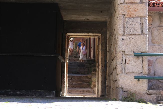 みんな歩いてます(´Д｀)ﾀｲﾍﾝﾖﾈｰ