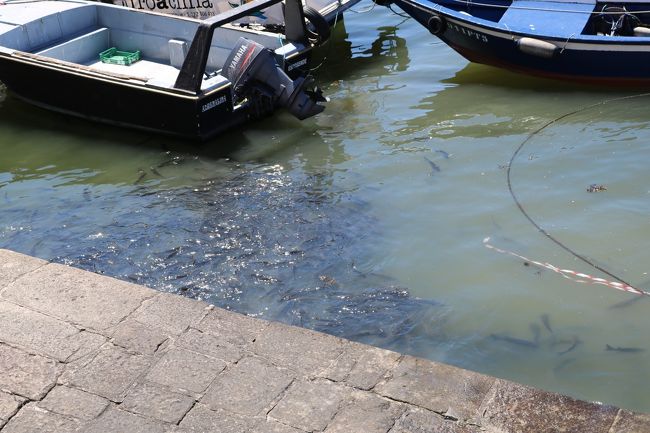 ん？<br />川がバチャバチャ言ってる。<br />なんだべ？