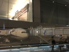 18:15　羽田空港国内線第2旅客ターミナル　到着
東京はすでに真っ暗で竹富島に比べて空気が乾燥してひんやりしていました。

竹富島の原風景を守る星のや竹富島のおかげで島民になれたかのような時間を楽しめた春の旅でした。