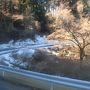 満開の河津桜のお花見と熱海梅園に行ってきました