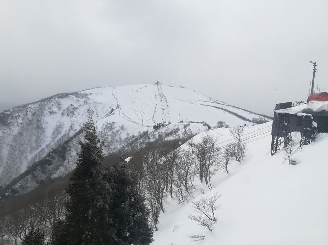 びわ湖バレイ スノーシーズン 滋賀県の旅行記 ブログ By Hirohiraさん フォートラベル びわ湖バレイ スノーシーズン 滋賀県の旅行記 ブログ By Hirohiraさん フォートラベル
