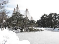 池、凍ってる…。
兼六園の雪吊り、期待通りの美しさ。

この日は日照時間が日本で一番短い金沢にしては珍しい、晴れ間の覗く日。
いい日に来たかも。