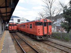 途中、寺前駅で電車から汽車に乗り換え、播但線の終点、和田山駅で下車。

ね、電線もパンタグラフもないでしょ。
