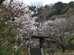 北鎌倉　東慶寺

最初に向かったのは、東慶寺。
解説の必要もないかと思いますが、
「花寺」として知られます。