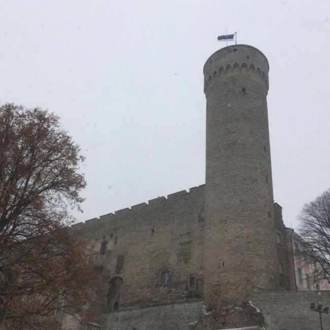 トームペア城、のっぽのヘルマンの塔。