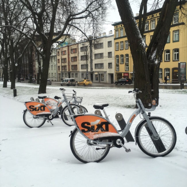 夏なら、レンタサイクルで遠出するのも楽しそう。