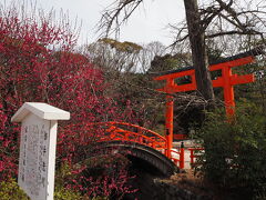 旧暦の3月3日（4月頃）が桃の咲く時期だったため桃の節句と言われるようになったという事です。ここまで調べて大きな勘違いを今までしていたことに気づきました。桃の花は3月始めに咲くものと思っていたのですが、調べてみると3月末から4月始めに咲くのですね。わざわざ、ひなまつりの時飾る桃の花は温室のものだと書いてあるものまでありました。ちなみにこの日は梅が綺麗でした。