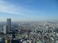 東京都庁からも富士山♪