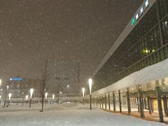 ノースライナーで旭川駅に到着。
十勝の人が、旭川は雪が多いよーって仰っていた通り。
雪のない国の方が、はしゃいで写真撮ってるのを横目に早歩きでホテルに向かいます。吹雪いてて寒いーーー！