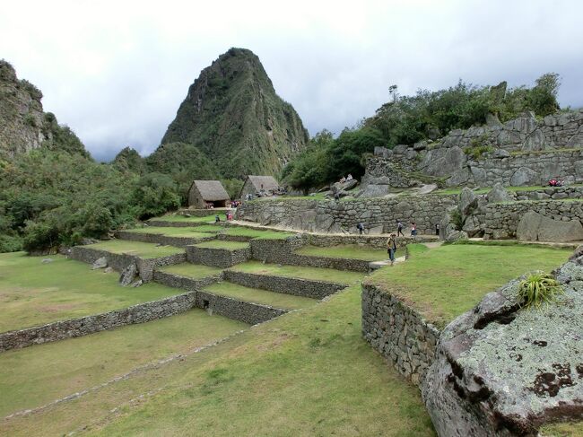 こちらは遺跡の裏側にあたるのかな？何もない。