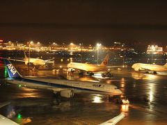 展望デッキへ
ANAやらJALやらの深夜便や駐機場には飛行機がいっぱい。