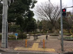 三ツ沢上町から三ツ沢公園までは徒歩15分くらいか