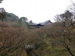 続いては東福寺。紅葉の頃はほんとうに美しい。