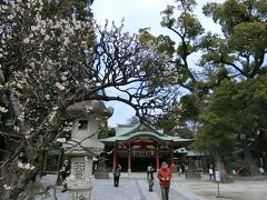 境内が広くて立派な神社。梅の花が咲いていた。