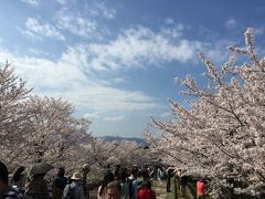 東山方面に戻るならインクラインへ