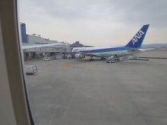 出発時の福岡空港ではうきうきしている。
到着時にはだだ下がり。