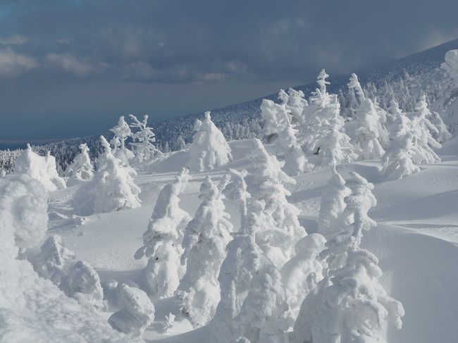 蔵王のスノーモンスター 樹氷にリベンジ 蔵王温泉 山形県 の旅行記 ブログ By こあひるさん フォートラベル 蔵王のスノーモンスター 樹氷にリベンジ 蔵王温泉 山形県 の旅行記 ブログ By こあひるさん フォートラベル