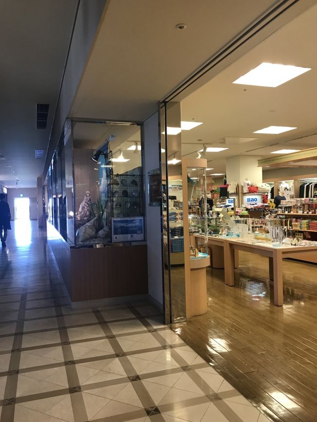 街中では特にしたいことも思いつかなかったので、<br />市バスに乗ってANAインターコンチネンタルホテルへ！<br /><br />本当は川平湾の方に行きたかったんやけど、バスの本数が全然ない。<br />帰りの時間を考えると危険やったので、空港に近いこっちにしました。