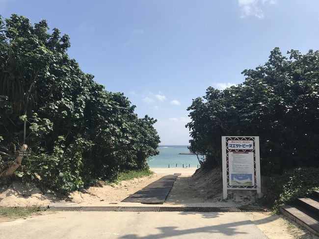 お天気も良くなってきた。<br />この日は晴れたり曇ったり。<br />あったかいけど、風は強い。