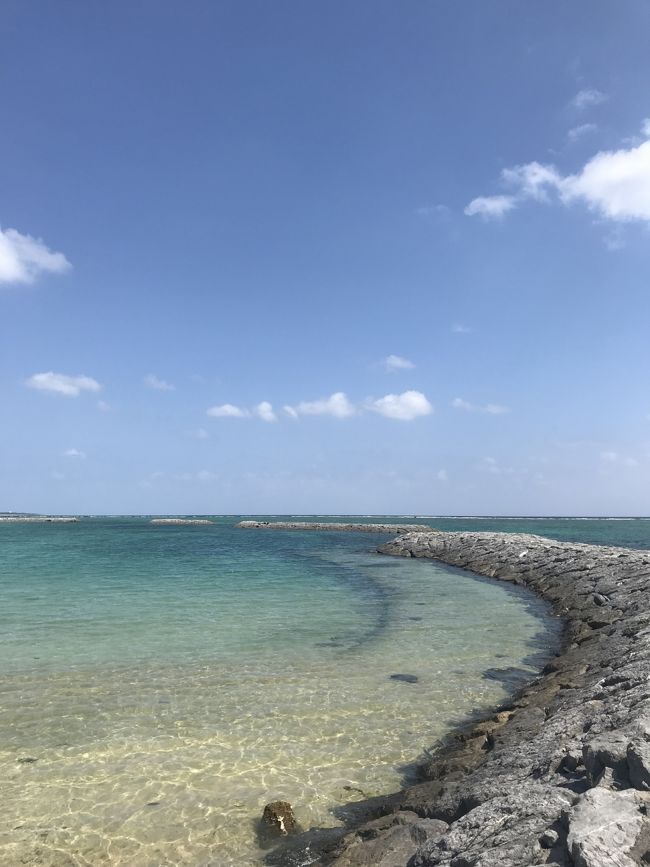 うん。綺麗。<br />めっちゃ透明。