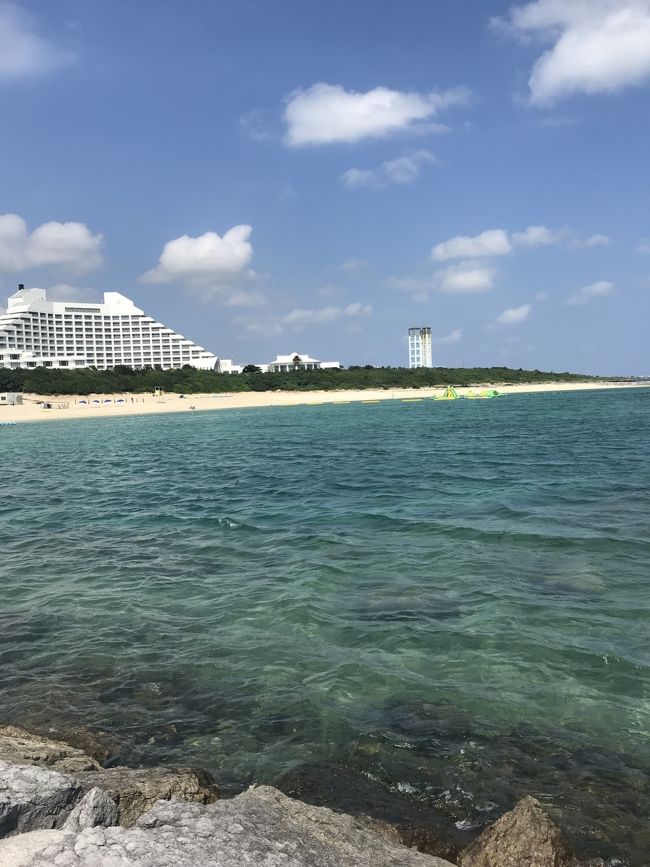 パシャパシャ写真を撮る。<br />でも眩しくてよく見えない。<br />大量に似たようなのを撮って、後で大量に削除する。