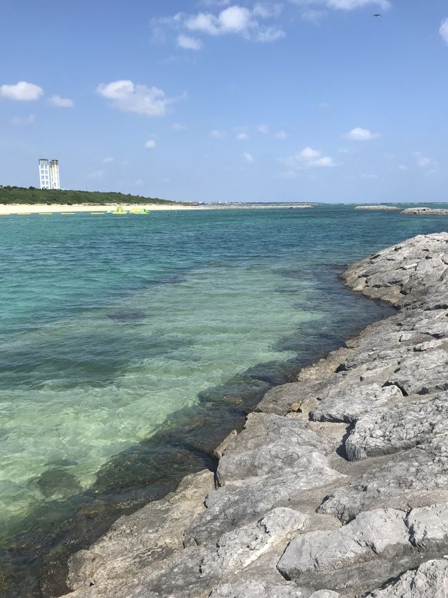 怖くなったから引き返します。笑