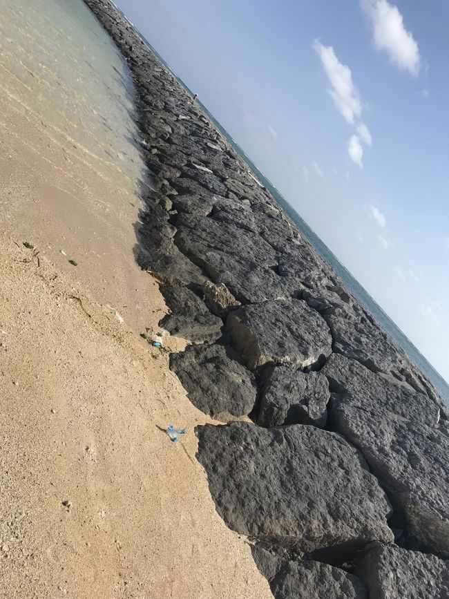ちょうど暑くも寒くもないし、気持ちよくって、風の音もすごいけど心地よくてまた立ち止まる。