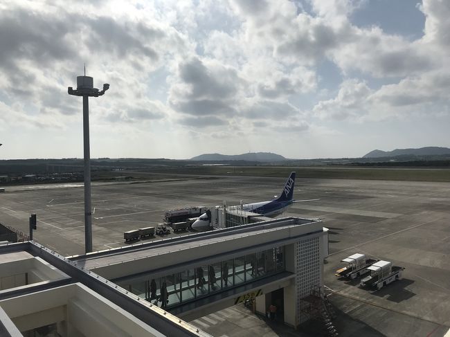 生憎、離陸や着陸のタイミングじゃなかった。