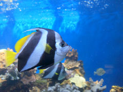 滞在時間は2時間半ほど。
小さな水族館なので、見るだけなら30分～1時間くらいで満足できると思います。