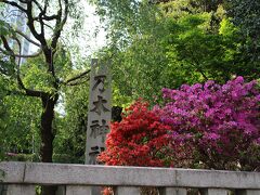 せっかく乃木坂周辺に来たので乃木神社にも寄ってみます。