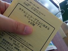 今回はツアー！
最低限のサービスでもツアーは個人旅行中心だった私たちには大名旅行！
だってホテル送迎あるしっ、チェックインもしてくれてるしっ！
しかもホテルは安心のニッコーで、不安はなんもない！
さー行くか！