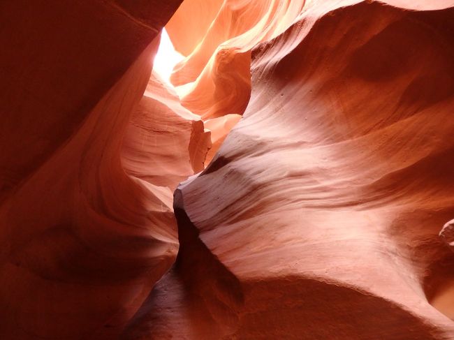 同じような写真ばかりです。