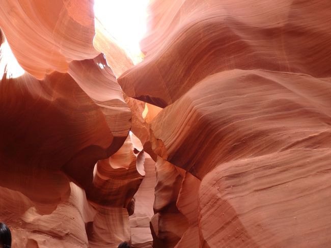 これはなにに見えるって説明があったけど皆同じように見えます。