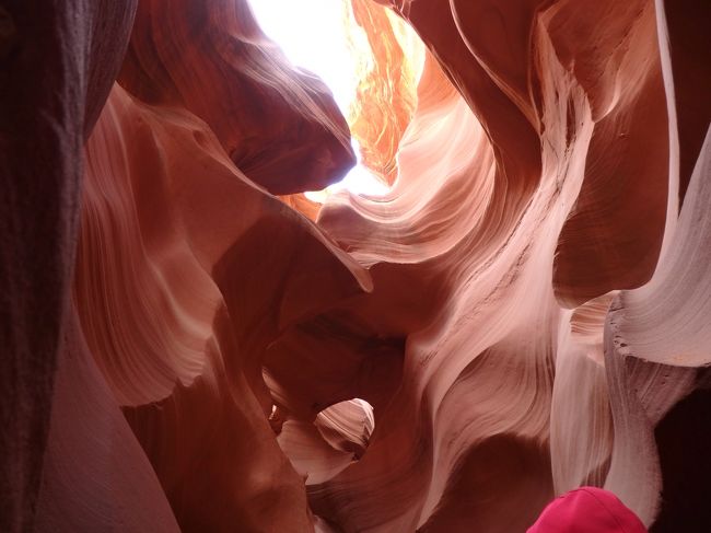 同じような写真ばかりです。でも良かった。<br />（きっとアッパーでも感動したでしょうけど）